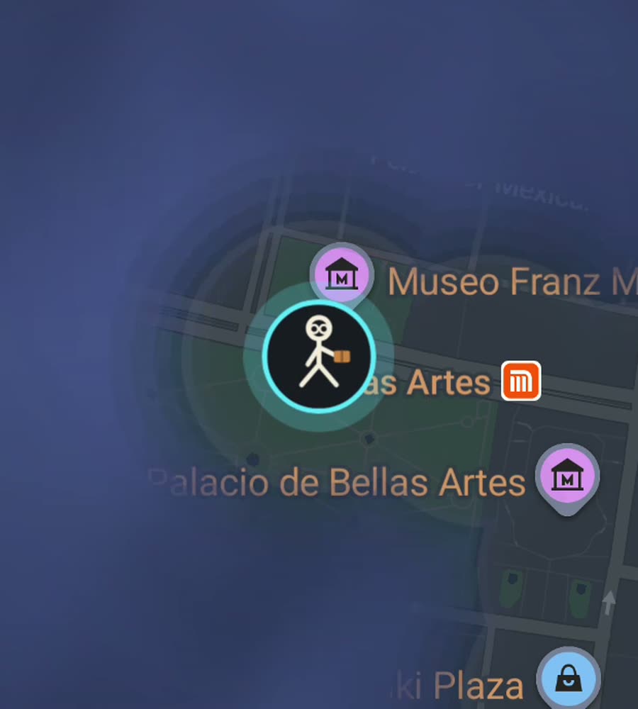 Mexico City on the FOG map, streets revealed along a walked route