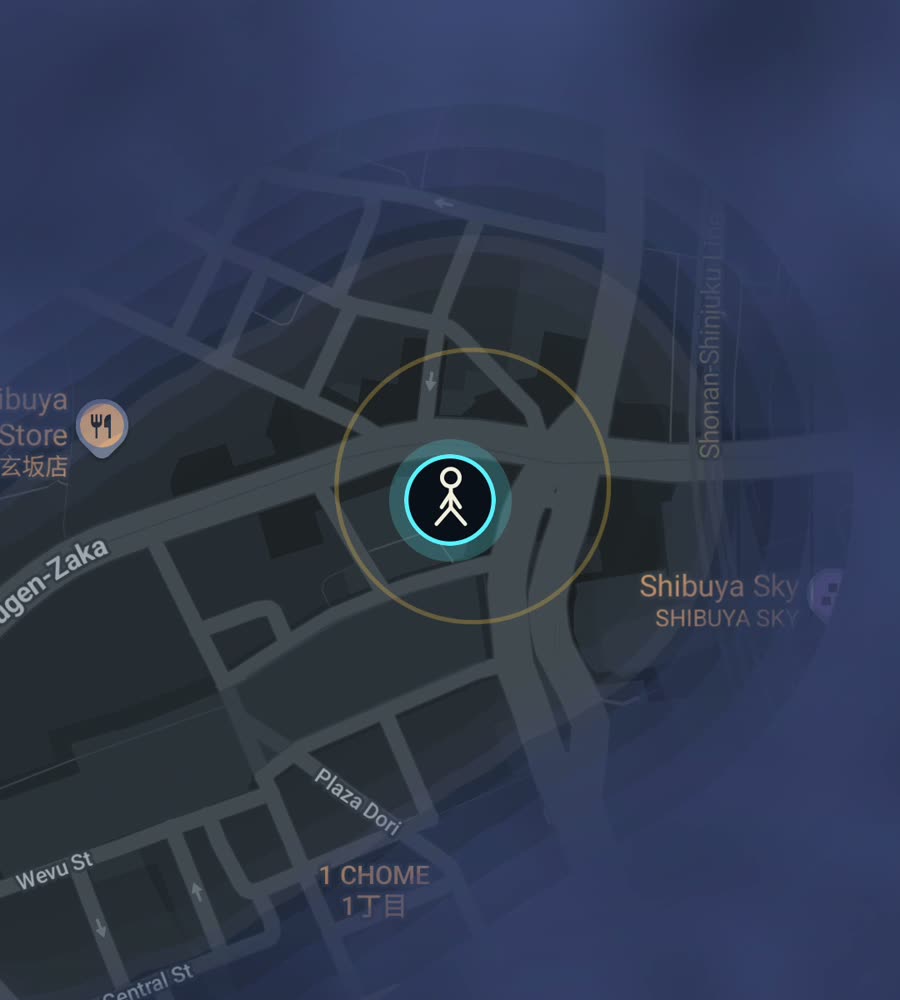 Tokyo on the FOG map, streets revealed along a walked route