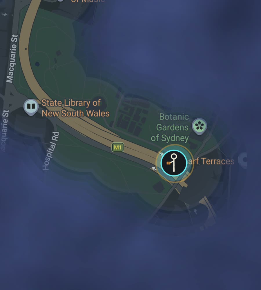 Sydney on the FOG map, streets revealed along a walked route